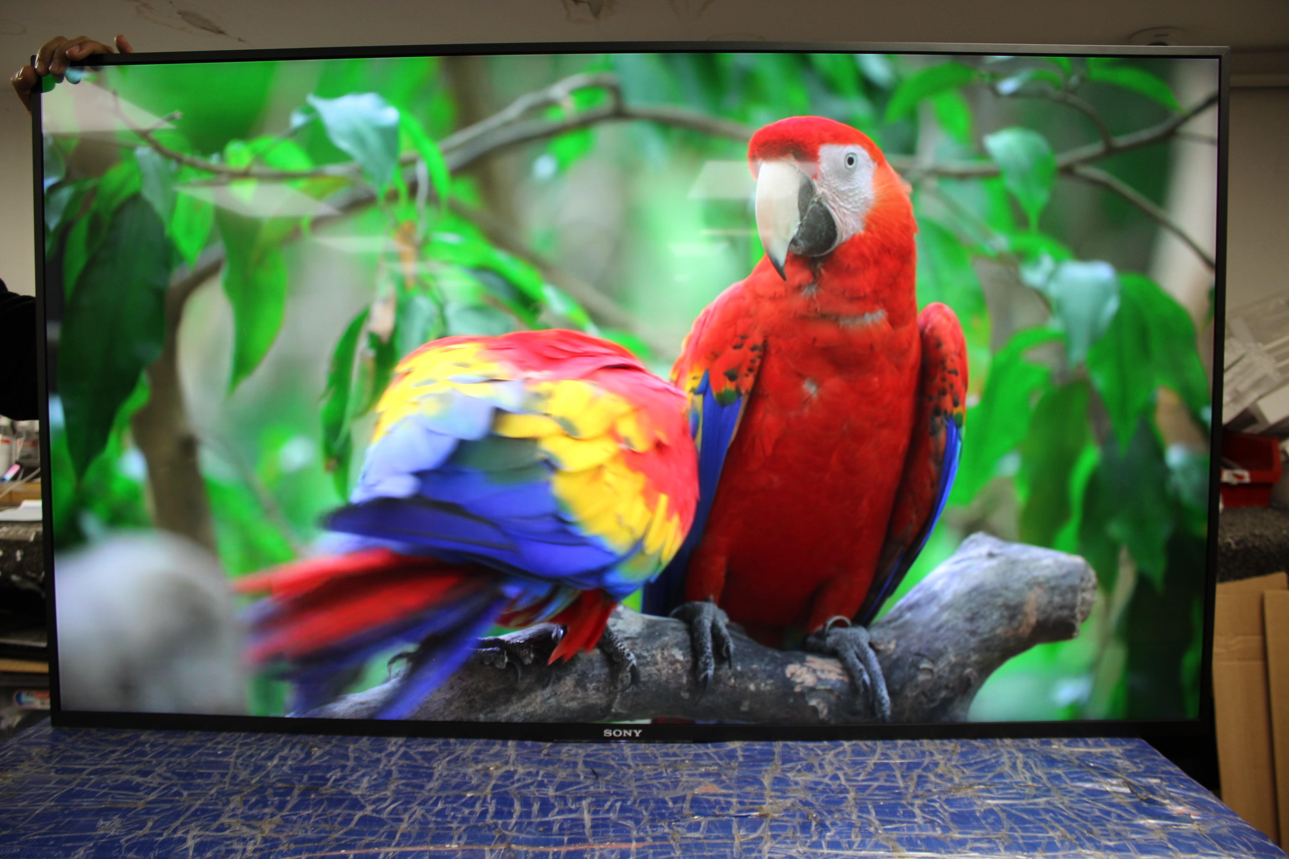 55" Sony KD55XE8396 4K Ultra HD HDR Smart Android LED TV - Electronic World TV